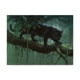 thumbnail image 1 of Trademark Fine Art 'Black Jaguar Stalking' Canvas Art by Harro Maass, 1 of 3
