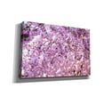 thumbnail image 2 of Cortesi Home 'Cherry Blossom Flowers' by Nicklas Gustafsson Canvas Wall Art, 60"x40", 2 of 2