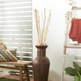thumbnail image 2 of 60" Tall Sticks Dried Plant Natural Foliage Pigeon pea Bouquet, by DecMode (2 Count), 2 of 7