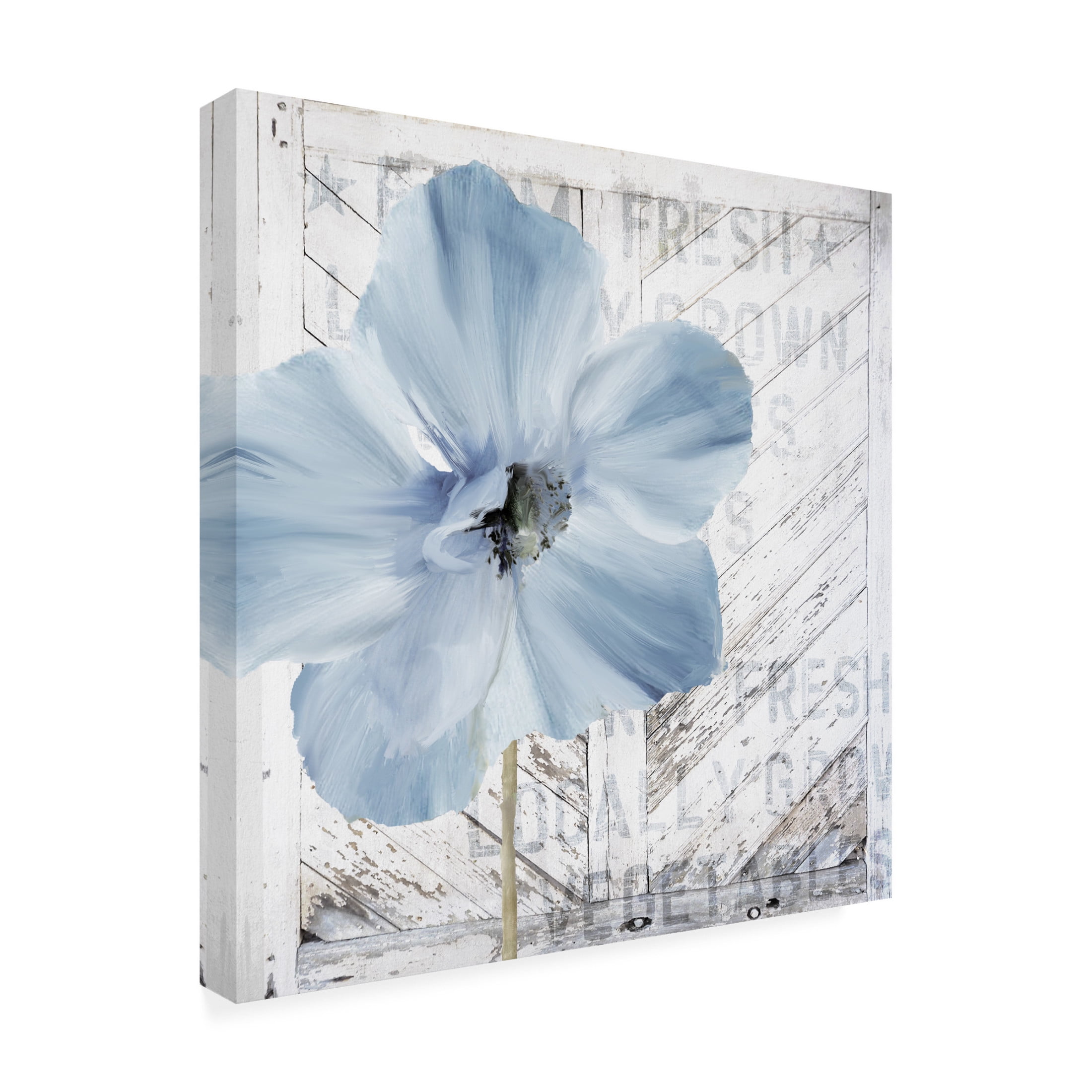 Canvas Wall Art - Sasha 'Barn Poppy Redux' Wall Art for Living Room, Bedroom, or Office Décor by Trademark Fine Art - 14 x 14 Inches