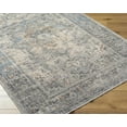 thumbnail image 3 of Hauteloom Erela Living Room, Bedroom Area Rug - Traditional - Charcoal, Beige, Slate Blue - 5'3" x 7'9", 3 of 10