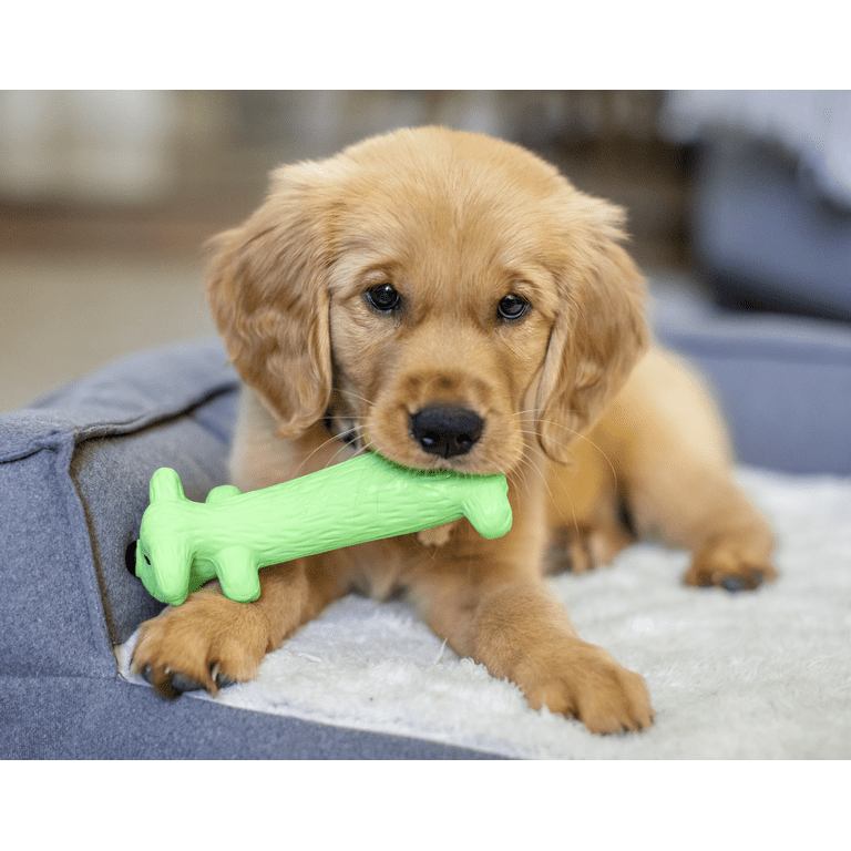 Multipet Smiling Loofa Dog Latex Dog Toy with Squeaker - Walmart.com