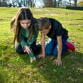 Carson, BugView 5x Magnifier, RRK150, 6 Pack for Kids and Adults ...