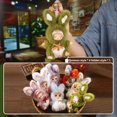 thumbnail image 3 of Plush Pendant Toys Surprise Box, Random Design, Cute Gift, 2025 New Release, 3 of 5