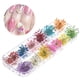 thumbnail image 1 of Flores secas reales coloridas, pegatinas decoración de uñas, materiales, uñas pa resina, colgante pa álbum de , 24 pis Baoblaze bricolaje arte de uñas, 1 of 7