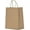 Brown, variant on Kraft Gift Bags Large with Handles 25 Pcs 10x5x13 inch Brown Gift Bags, Kraft Paper Bags for Shopping Reusable Grocery Bag