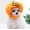 Orange, variant on RnemiTe-amo Cat Halloween Pumpkin Costume Dog Halloween Pumpkin Hat Pet Headdress for Puppy Kitty Apparel Clothes Funny Cosplay Costumes Accessory for Halloween Party Dress Supplies