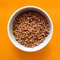 thumbnail image 3 of Fromm Fromm Healthy Weight Gold Dry Cat Food 4 lb, 3 of 4