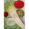 thumbnail image 3 of Vintage Apple Collection 19x24 Black Modern Framed Museum Art Print Titled - Celery, 3 of 5