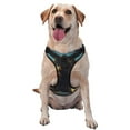 thumbnail image 1 of Kdxio Golden Cloud Winged Dog Print No Pull Dog Harness Adjustable Reflective Oxford Easy Control Medium Large Dog Harness for Training and Everyday-X-Large, 1 of 6