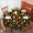 Sunflower And Bud, variant on Sunflower and Bud Black Pattern Round Tablecloth 70"x70", Wrinkle Resistant Wipeable Table Cover for Kitchen Dining Room Picnic Patio and Party
