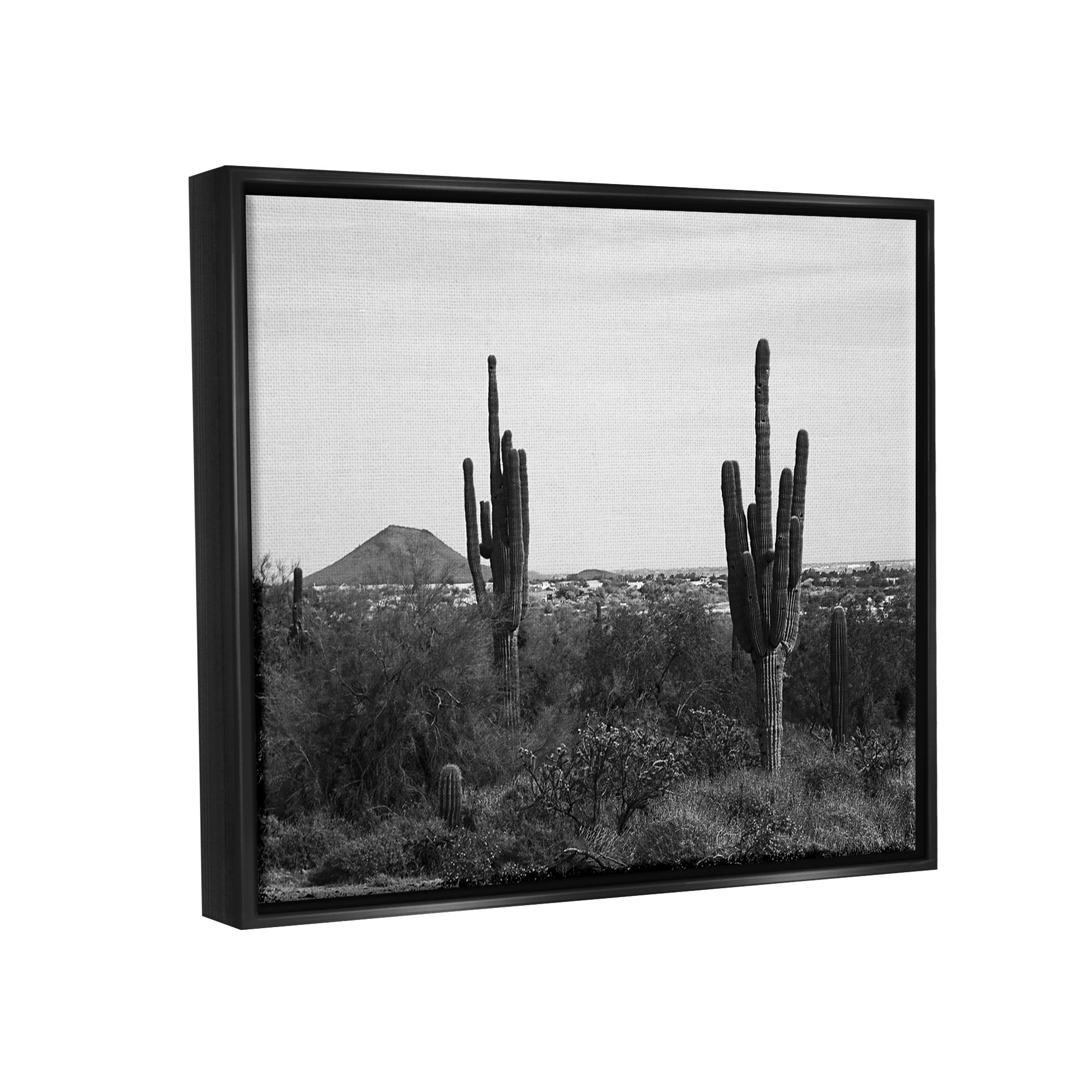 Stupell Industries Desert Cactus Arid Vegetation Monochrome Nature Photography Photograph Jet Black Floating Framed Canvas Print Wall Art, Design by Graffitee Studios