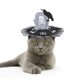 thumbnail image 1 of Mascota De Halloween, Gorra De Cosplay De Perro Bonito, Tocado Cruzado De Esqueleto Para Cumpleaños, Halloween, Navidad sonducket HA044035-02, 1 of 6