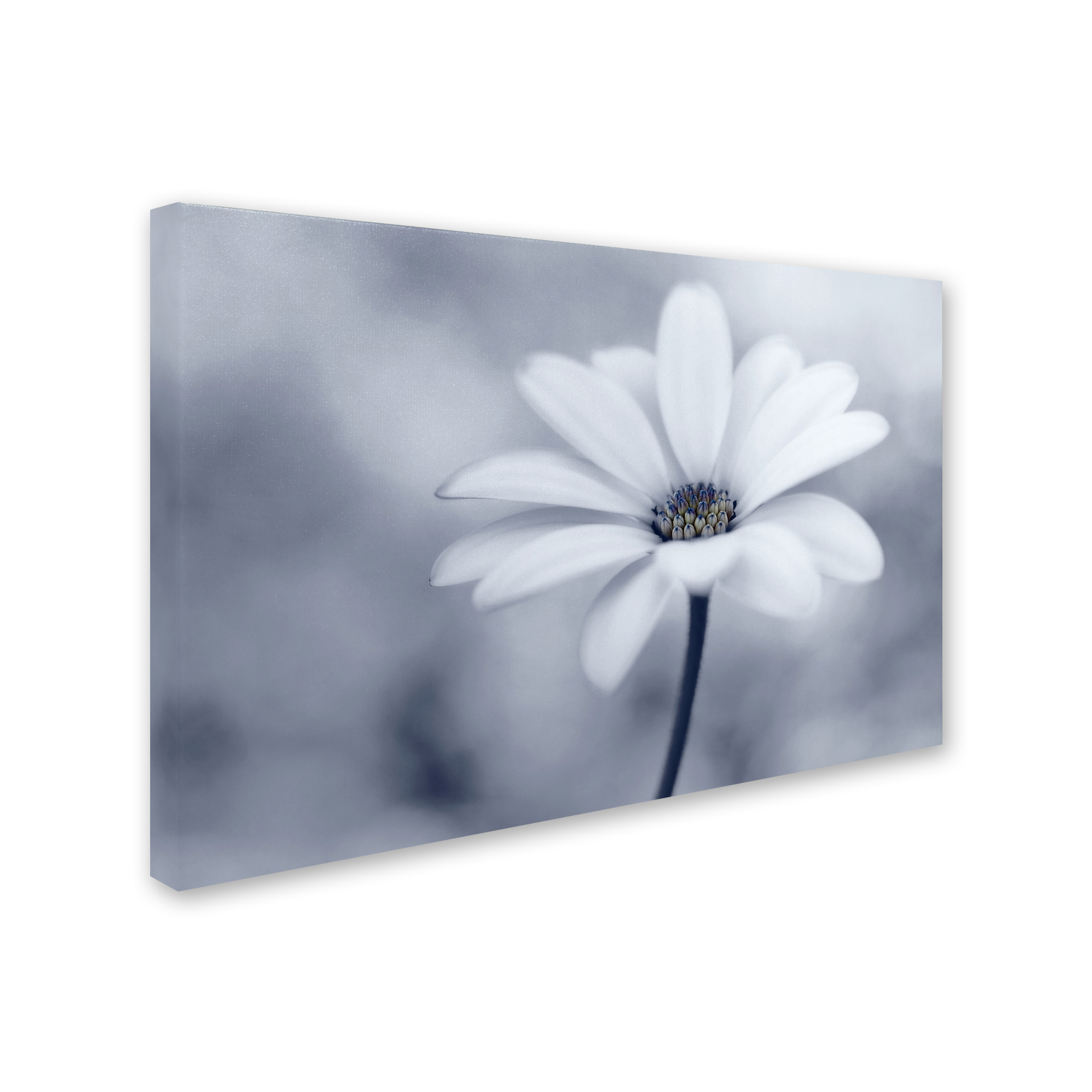 Lotte Gronkj�r 'Blue Tones' Canvas Art