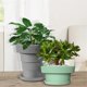 thumbnail image 5 of Outdoor or Indoor Flower Pots with Self-Watering Function, Pink, 5 of 5
