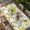 Yellow, variant on Spring Daisy Table Cloths for 5 Foot Rectangle Tables, Farmhouse Country Flower Leaf Plant Wood Grain Patio Waterproof Elastic Fitted Tablecloths, Washable Rectangular Table Cover for Camping