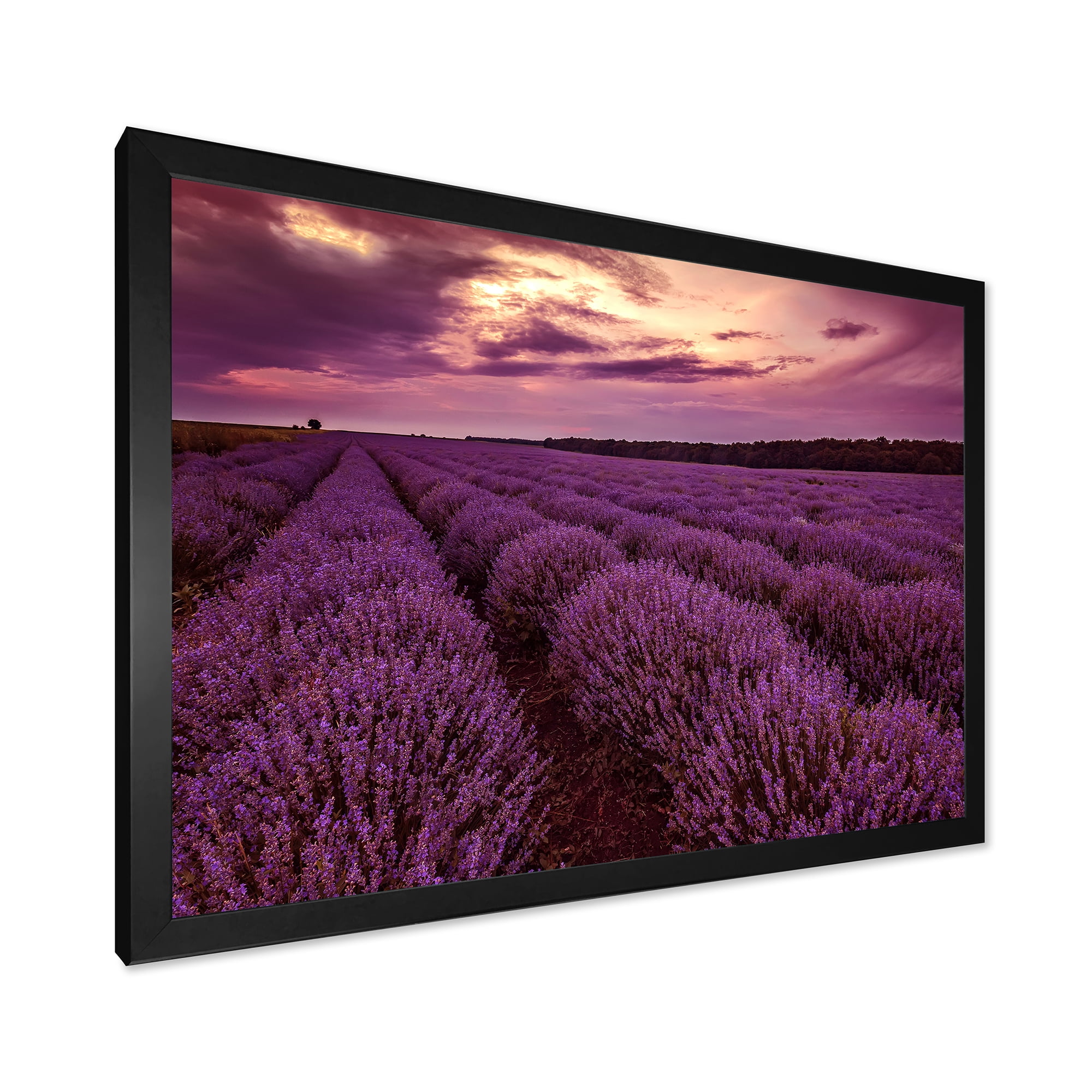 Designart 'Dramatic Clouds and Sunrise Over Lavender Field III' Farmhouse Framed Art Print