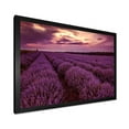 thumbnail image 2 of Designart 'Dramatic Clouds and Sunrise Over Lavender Field III' Farmhouse Framed Art Print, 2 of 4