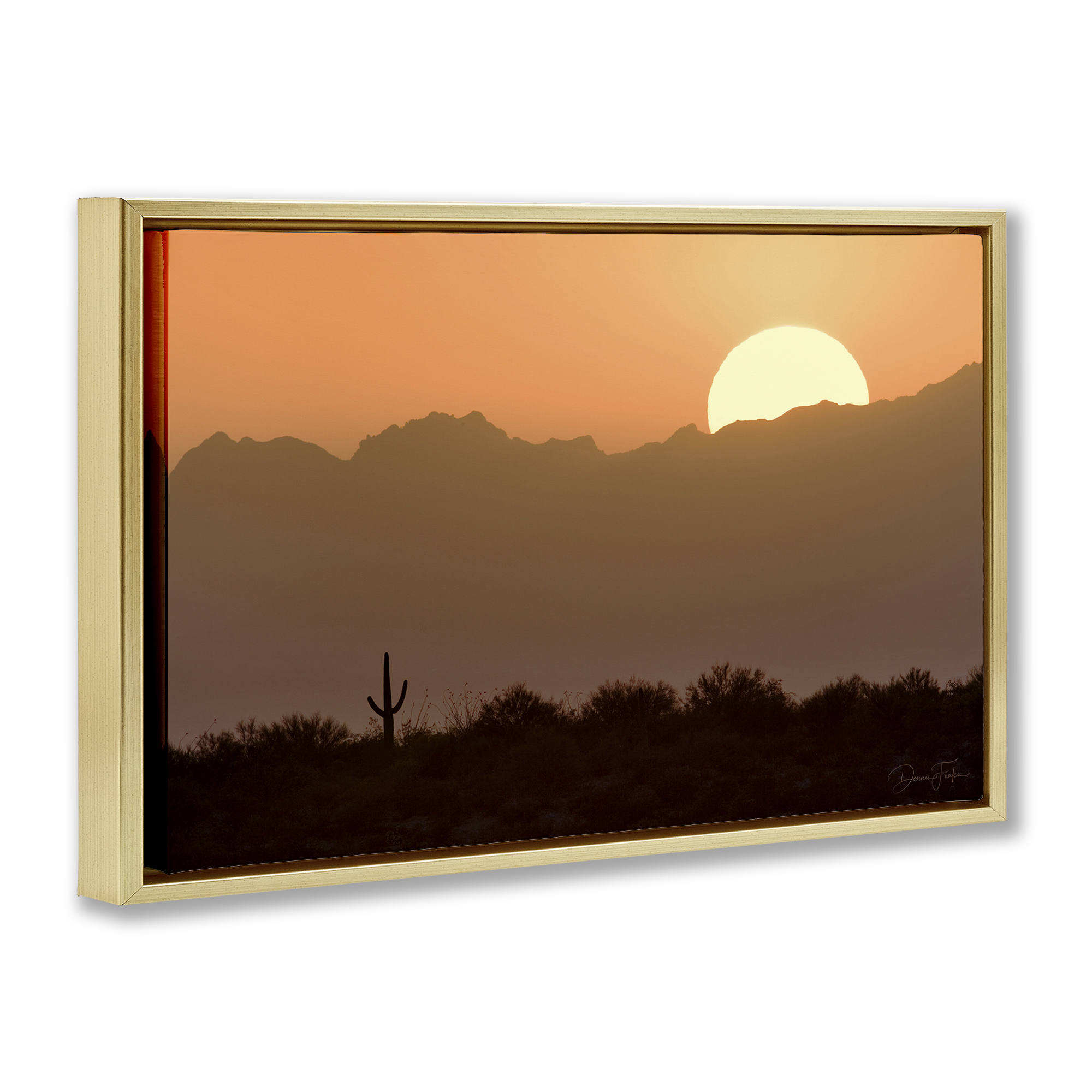 Stupell Industries Sunlit Desert Cactus Landscape & Nature Photography Gold Floater Framed Canvas Art Print Wall Art, 31 x 21