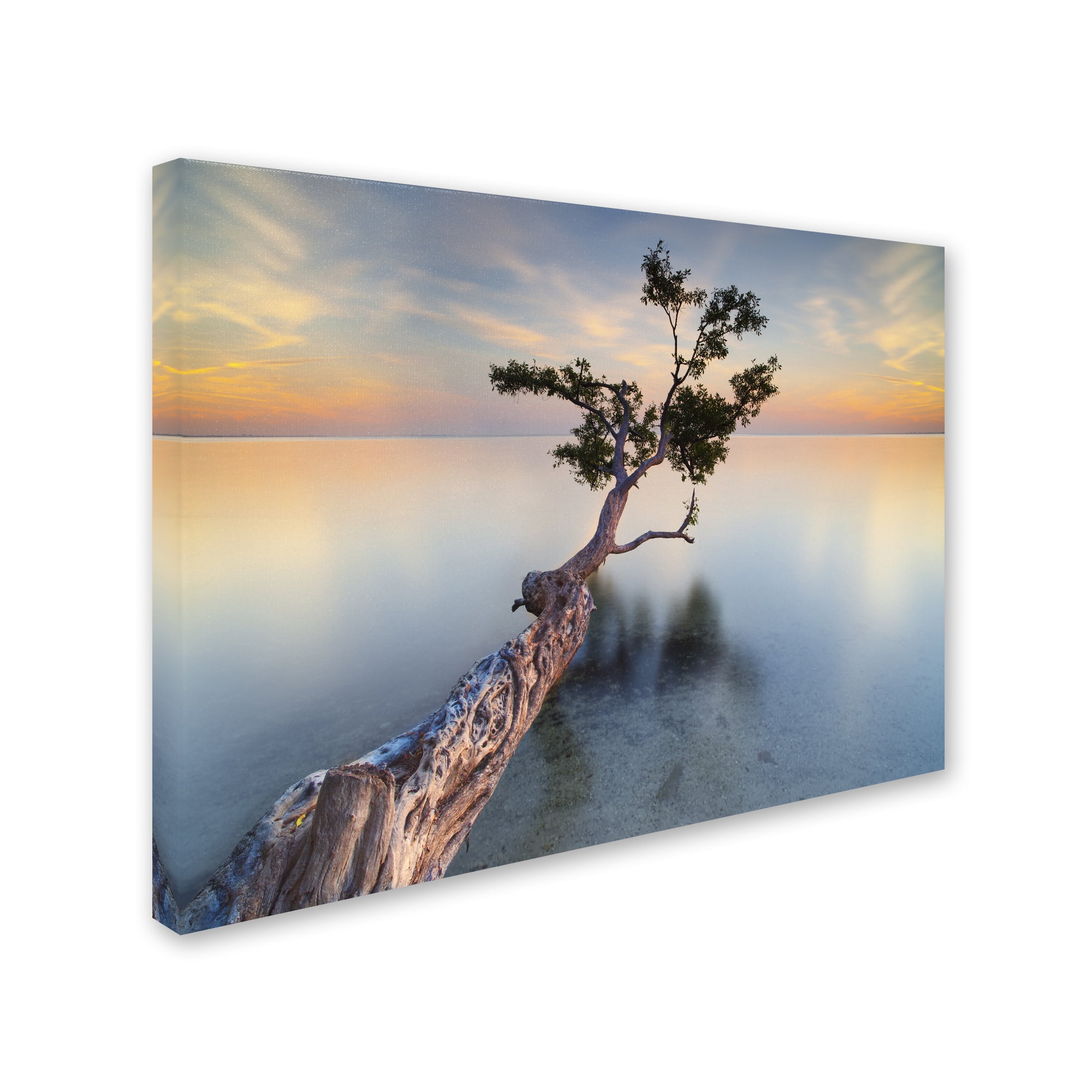 Trademark Fine Art "Water Tree XIV" Canvas Art by Moises Levy