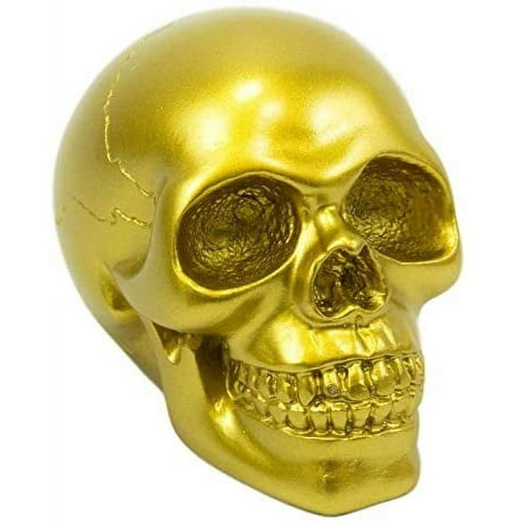Ebros Pirate's Loot Graveyard Human Skull Head Statue 3.75"L (Metallic Gold)