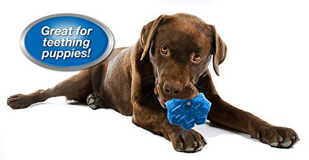 Arctic Freeze Bone Dog Toy