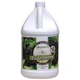 thumbnail image 3 of Vintners Best Elderberry Fruit Wine Base 128 oz. Jug, 3 of 3