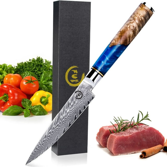 Fukep Kitchen Utility Knife, 5 Inch Paring Knife Sharp-edged Damascus Paring knife VG10 Core Steel With 67 Layers High Carbon Steel - Ergonomic Blue Handle - Small Fruit Knife