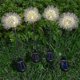 thumbnail image 5 of 2pcs Flower Solar Led Light Outdoor Lawn Lamp Waterproof Garden Terrace Landscape Garden Decoration, 5 of 5