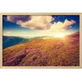 thumbnail image 2 of Magic Pink Rhododendron Flowers Dramatic Scenery Carpathian, Ukraine, Europe Beauty World Retro, Framed Art Print Wall Art by Leonid Tit Sold by Art.Com, 2 of 5
