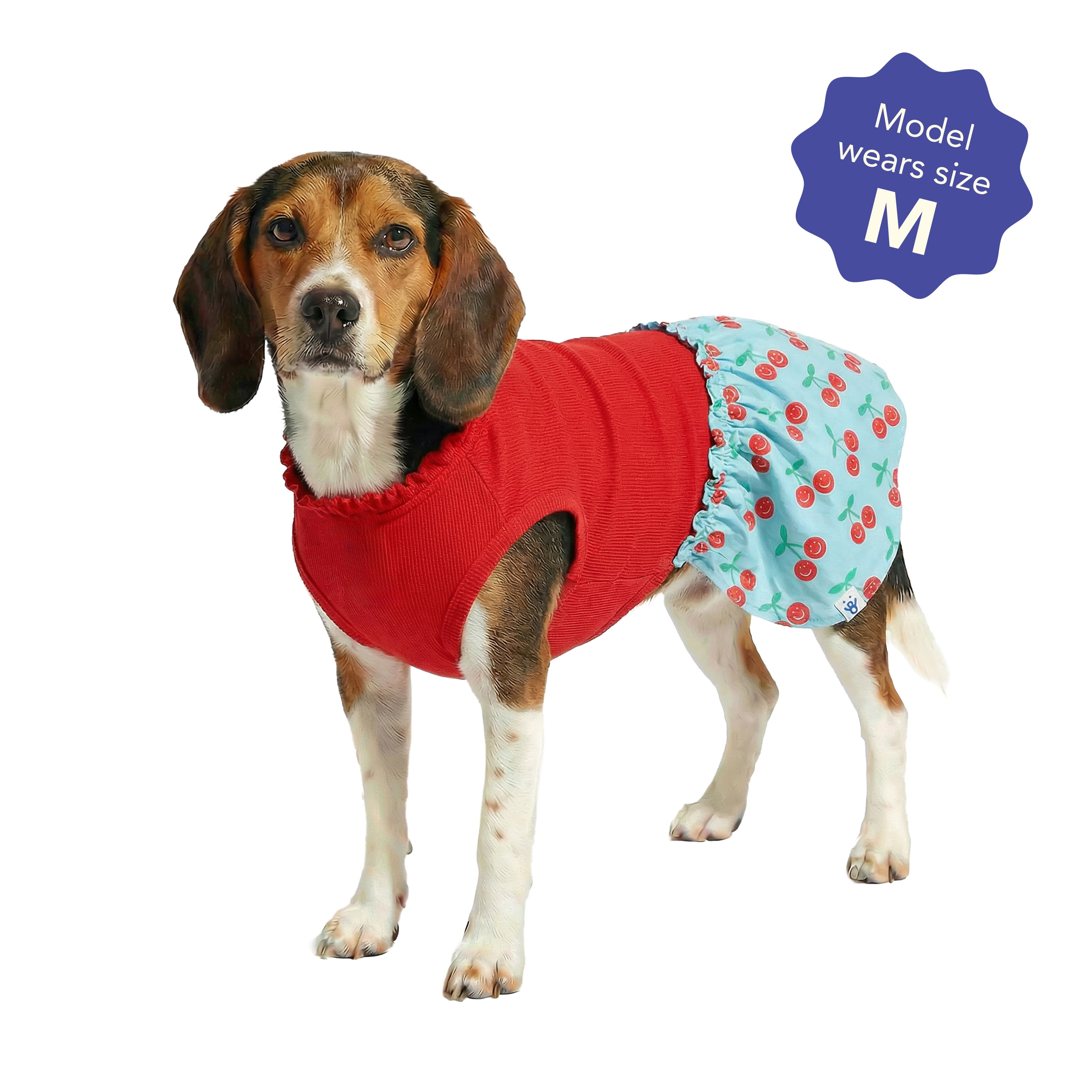 Oodles Blue Cherries Ruffled Spring Dog Dress, Medium
