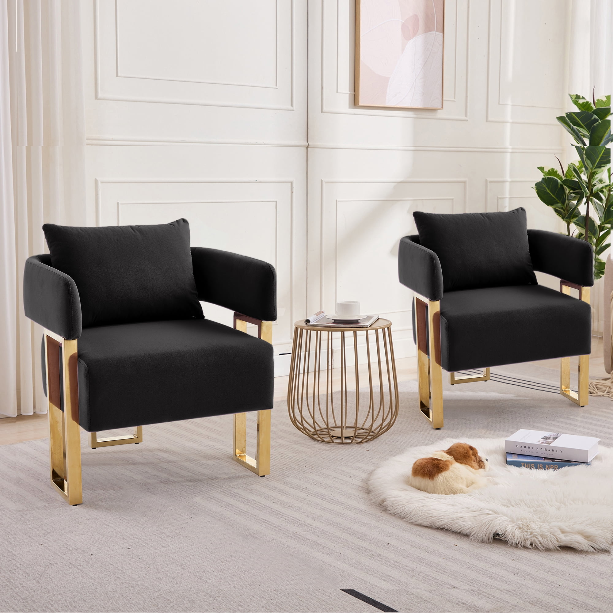 Leumius Velvet Accent Chairs Set of 2,Morden Upholstered Armchair Dining Side Chairs with Gold Metal Legs for Dining Kitchen Living Room,Black