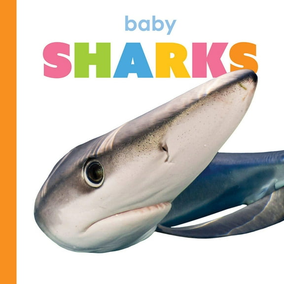 Starting Out Baby Sharks, (Paperback)