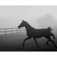 thumbnail image 3 of Anonymous 18x15 Black Modern Framed Museum Art Print Titled - Morning Pasture II, 3 of 5