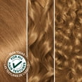 thumbnail image 4 of Garnier Nutrisse Nourishing Hair Color Creme, 073 Dark Golden Blonde Honey Dip, 4 of 15