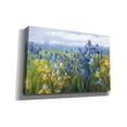 thumbnail image 2 of Epic Graffiti 'Blue And Yellow Flower Field' by Carol Rowan, Giclee Canvas Wall Art, 40"x26", 2 of 8
