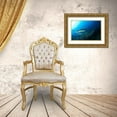 thumbnail image 3 of Y Lin, Ryan 18x13 Gold Ornate Wood Framed with Double Matting Museum Art Print Titled - Shark And Fish, 3 of 4