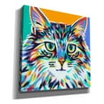 thumbnail image 2 of Epic Graffiti  'Dramatic Cats I' by Carolee Vitaletti Giclee Canvas Wall Art, 12"x12" 18 x 18, 2 of 3