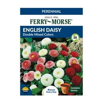 Ferry-Morse 1G English Daisy Double Mixed Colors Perennial Flower Seeds Full Sun