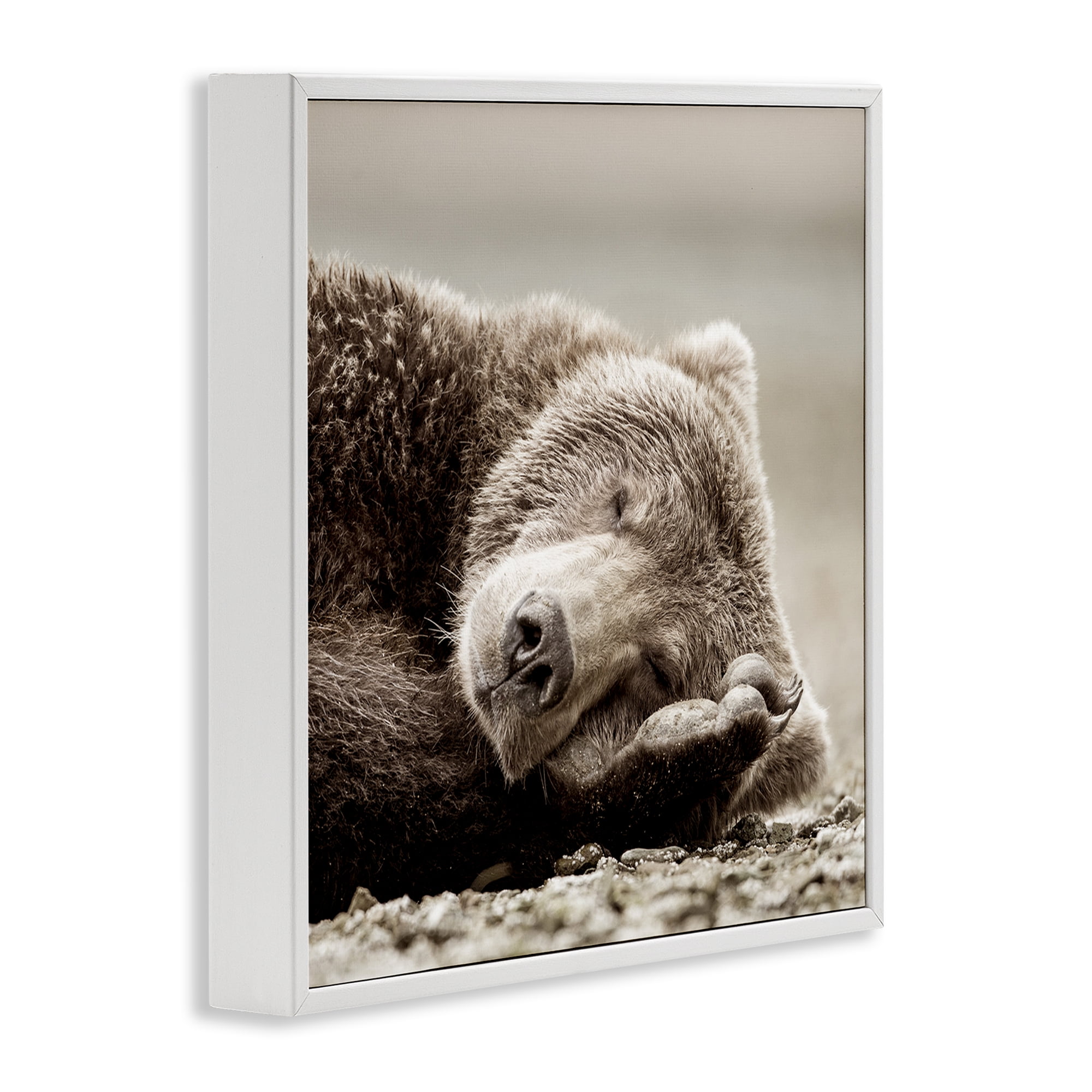 Stupell Industries Cozy Sleeping Bear Animals & Insects Photography White Framed Art Print Wall Art, 12 x 12