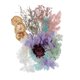 thumbnail image 4 of Combinación Secas Naturales Sunnimix DIY Flor de Herbario Prensada 1-3CM, 4 of 6