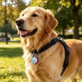 thumbnail image 3 of Sktrjpolfis Rechargeable LED Pet Collar Light, Clip-On Safety Pendant with Multi-Color Modes for Dogs Cats Night Walking, 1-Pack, 3 of 5
