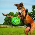 thumbnail image 6 of Ball Interactive Dog Toy Fun Giggle Sounds Ball Puppy Chew Toy, 6 of 10