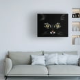 thumbnail image 2 of Canvas Wall Art - Antonio Grambone 'Black Cat Portrait' Wall Art for Living Room, Bedroom, or Office Décor by Trademark Fine Art - 24 x 18 Inches, 2 of 4