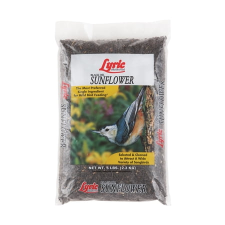 Lyric Black Oil Sunflower Seeds - 5 lb. Bag