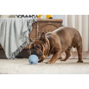 Harry Barker Durable Rubber Treater Dog Toy, Blue, Large