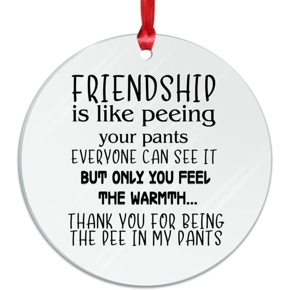 AatoeaX Playful Text Friendship Ornament: Fun Layout, Transparent Acrylic, Hanging Decor for Friends, Home & Office Accents