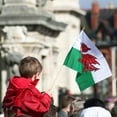 thumbnail image 5 of Anley Wales Mini Flag 12 Pack - Hand Held Small Miniature Welsh Flags on Stick - 5x8 Inch with Solid Pole & Spear Top, 5 of 5