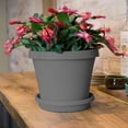 thumbnail image 5 of Bloem 14-in Terra Round Plastic Plant Saucer Tray - Charcoal Gray, 5 of 7
