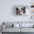 thumbnail image 3 of Canvas Wall Art - Martine Benezech 'Runaway Horse' Wall Art for Living Room, Bedroom, or Office Décor by Trademark Fine Art - 32 x 22 Inches, 3 of 4